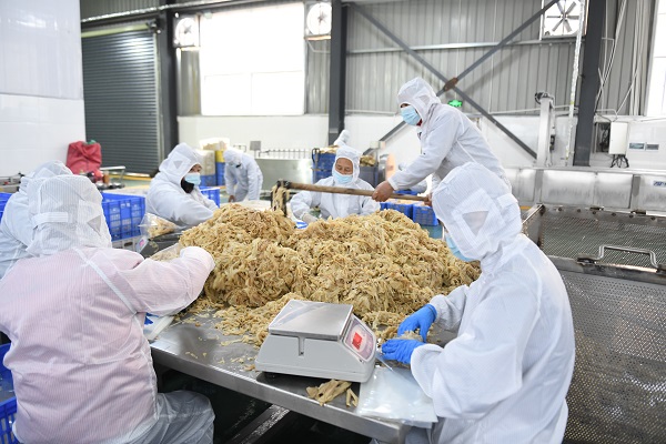 1612687869556005385.jpg DSC_0402.jpg