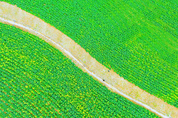 1647522794455077923.png 2.png