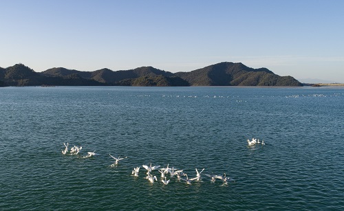 1647589803244042602.jpg 江銅集團(tuán)德興銅礦4號(hào)庫-2.jpg