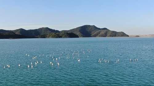 1647589809397089609.jpg 江銅集團(tuán)德興銅礦4號(hào)庫-3.jpg