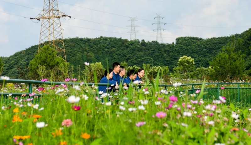 1699517117896000428.jpg 2 - 副本.jpg