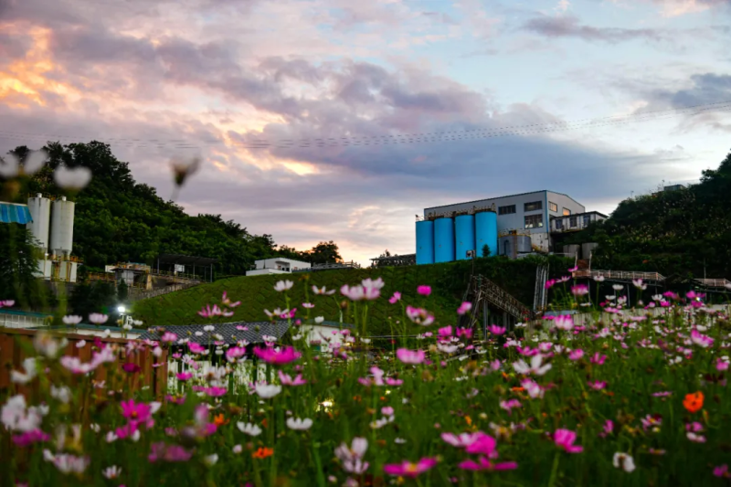 1732691578554033058.png 3ea0efdd-2b7b-45f8-8526-793f74b33955.png